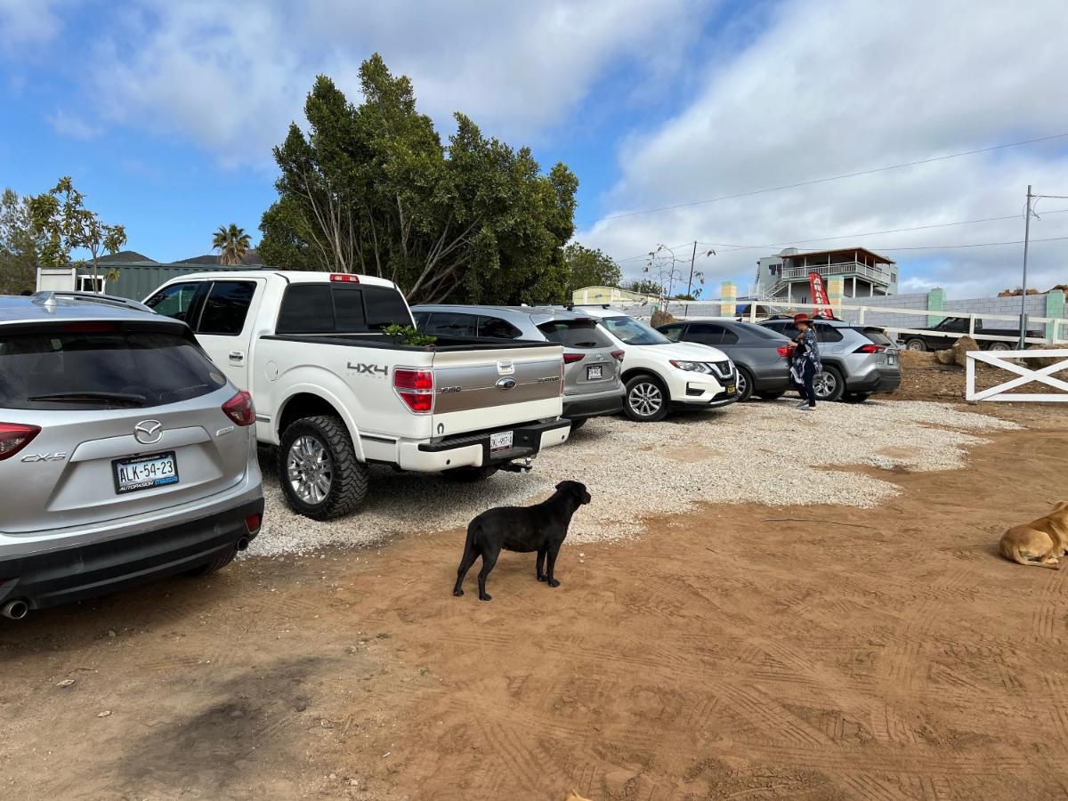 Ecovino Valle De Guadalupe Bagian luar foto